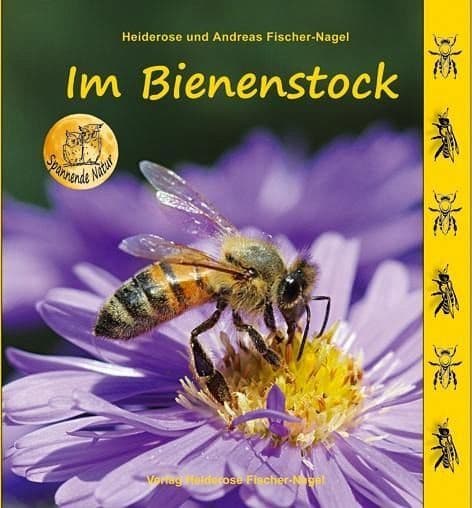 Im Bienenstock, Heiderose und Andreas Fischer-Nagel, Erscheinung 2017