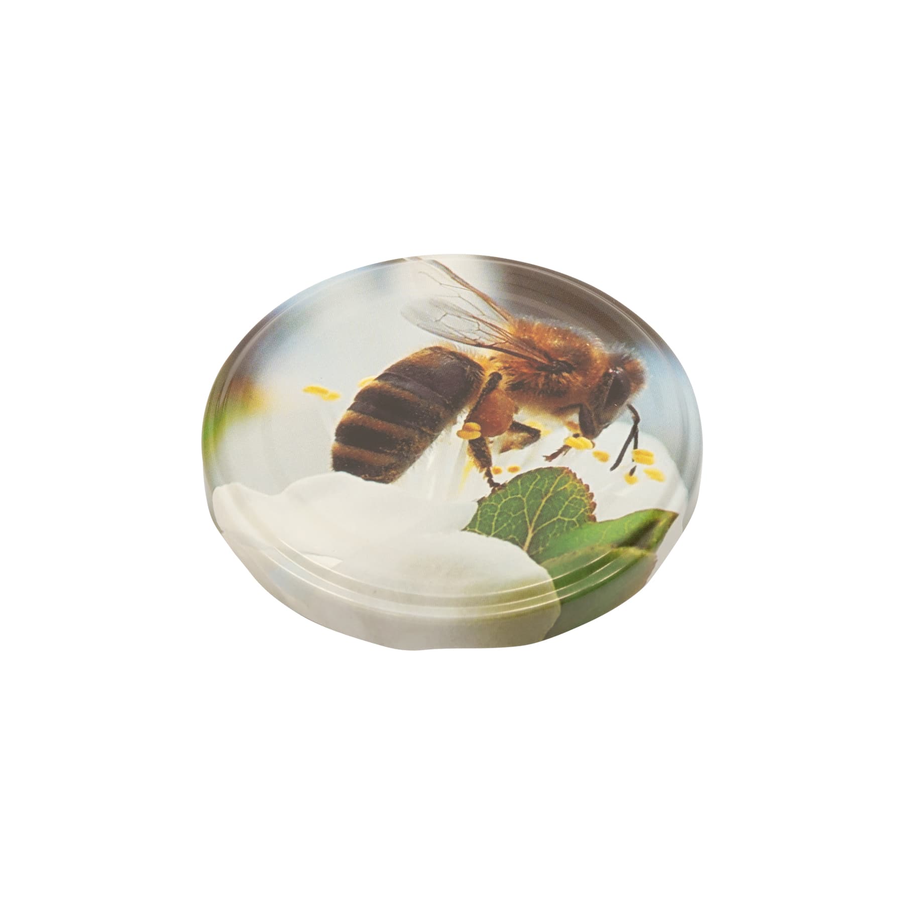 Twist Off Deckel Metall 82 mm Biene auf Apfelblüte