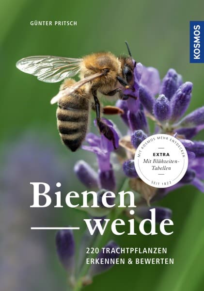 Bienenweide: 220 Trachtpflanzen erkennen und bewerten, G. Pritsch, Kosmos Verlag