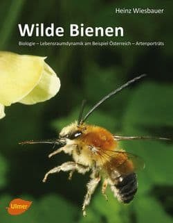 Wilde Bienen, H. Wiebauer, Ulmer Verlag